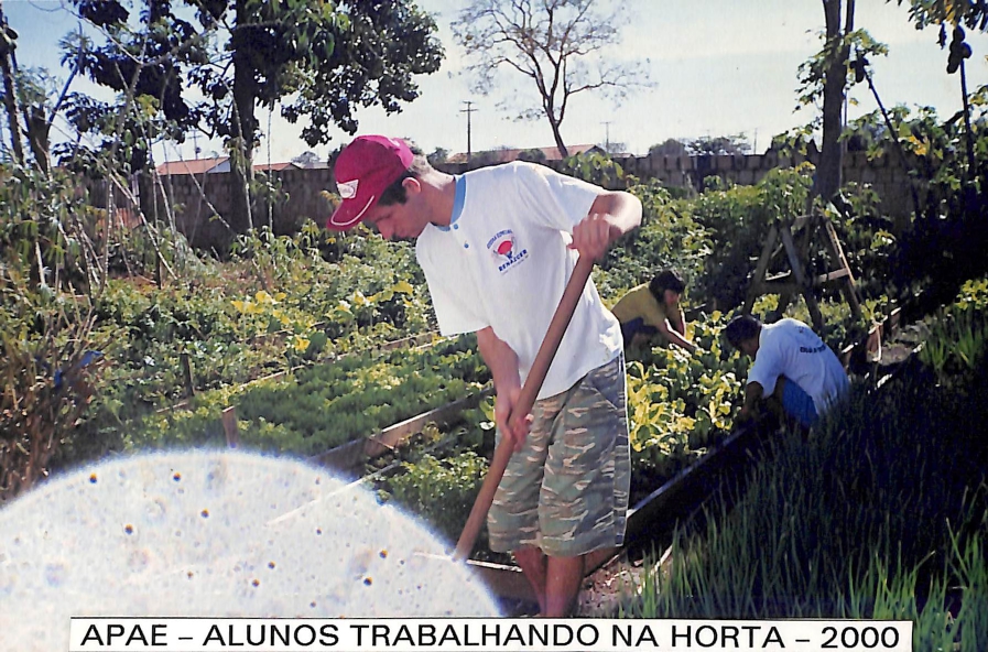 Horta APAE