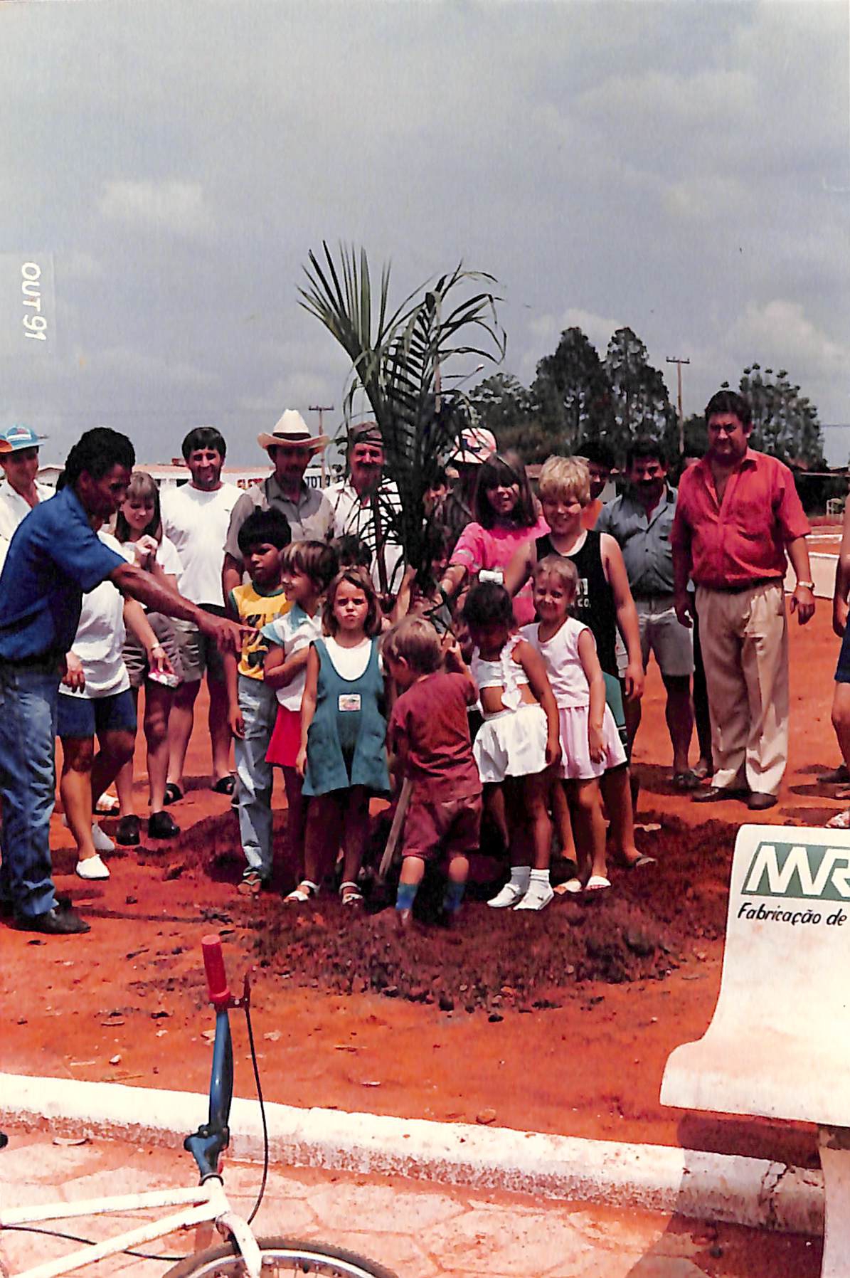 1ª Palmeira Imperial